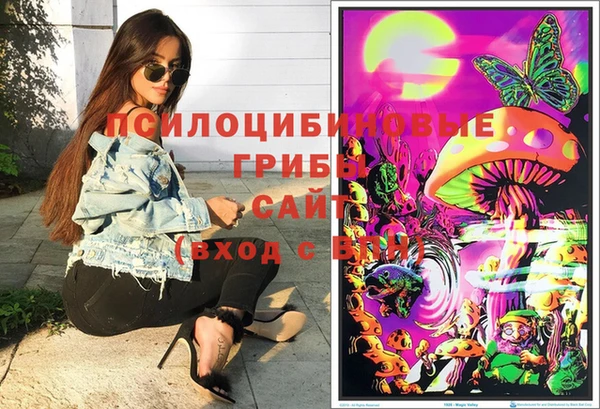 индика Абинск