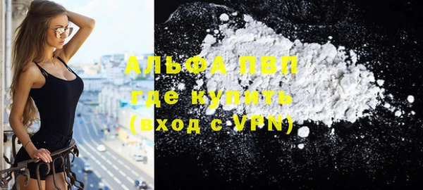 индика Абинск