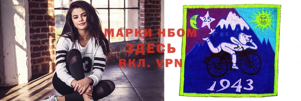 индика Абинск